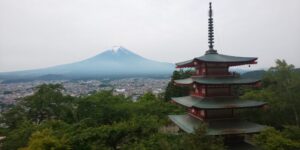 暑い日が続いてます。